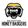 加拿大蜜獾队